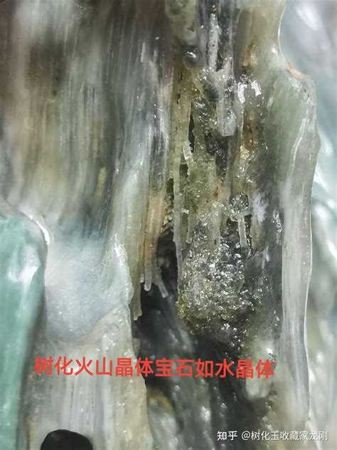 树化玉风水|树化玉收藏指南一风水百科权威发布